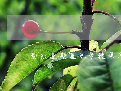 贷款逾期通讯录被爆怎么样 贷款逾期通讯录被爆怎么样