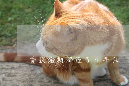 贷款逾期都还了十年后 贷款逾期都还了十年后