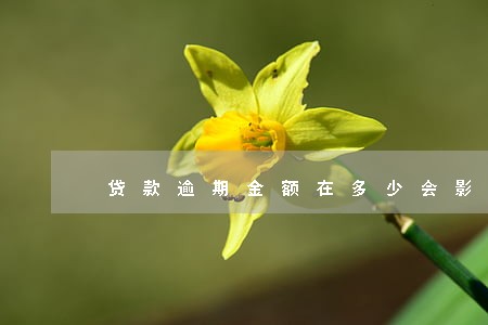 贷款逾期金额在多少会影响信用 贷款逾期金额在多少会影响信用