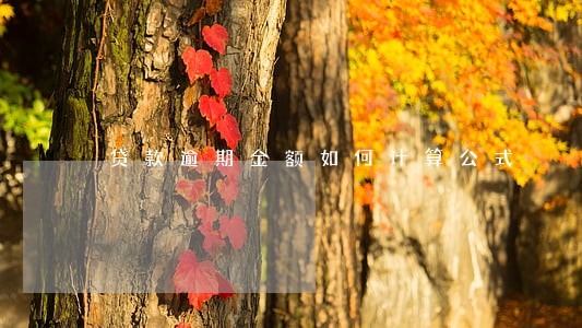 贷款逾期金额如何计算公式 贷款逾期金额如何计算公式