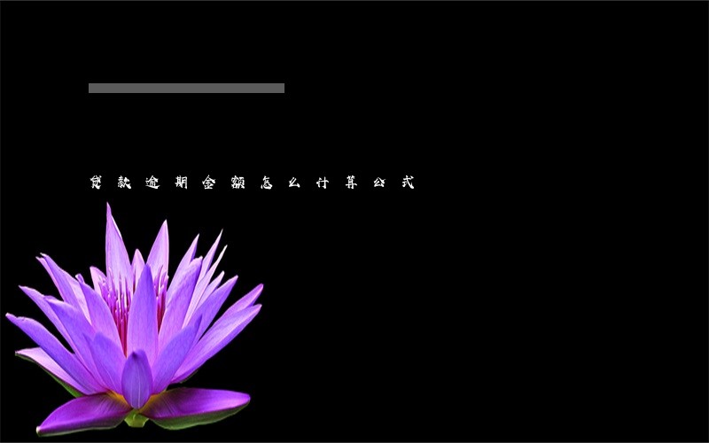 贷款逾期金额怎么计算公式 贷款逾期金额怎么计算公式