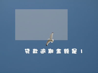 贷款逾期金额是1 贷款逾期金额是1