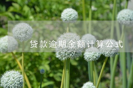 贷款逾期金额计算公式 贷款逾期金额计算公式