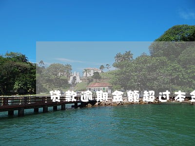 贷款逾期金额超过本金 贷款逾期金额超过本金