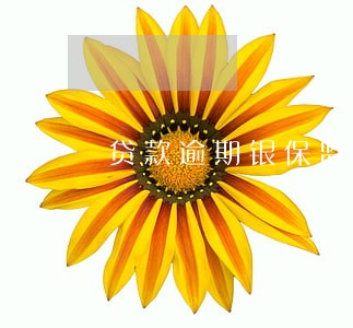 贷款逾期银保监会协商