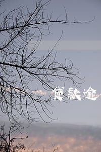 贷款逾期银行不发短信 贷款逾期银行不发短信