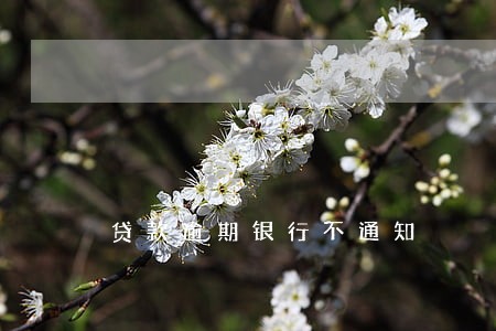 贷款逾期银行不通知 贷款逾期银行不通知