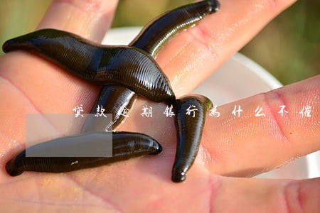贷款逾期银行为什么不催款 贷款逾期银行为什么不催款