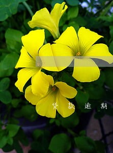 贷款逾期银行会走什么途径 贷款逾期银行会走什么途径