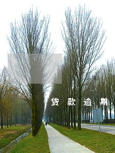 贷款逾期银行减免后还清了 贷款逾期银行减免后还清了