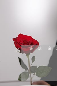贷款逾期银行出证明怎么开 贷款逾期银行出证明怎么开