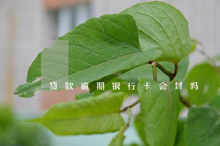 贷款逾期银行卡会封吗 贷款逾期银行卡会封吗