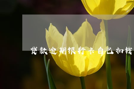 贷款逾期银行卡自己扣钱吗 贷款逾期银行卡自己扣钱吗