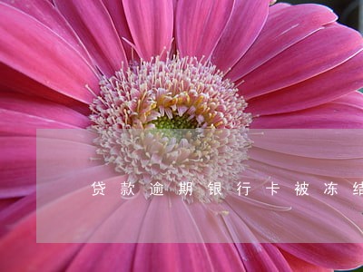 贷款逾期银行卡被冻结的程序 贷款逾期银行卡被冻结的程序