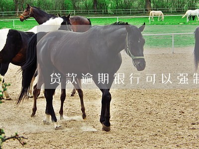 贷款逾期银行可以强制扣款吗 贷款逾期银行可以强制扣款吗