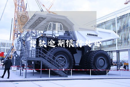 贷款逾期银行处份 贷款逾期银行处份