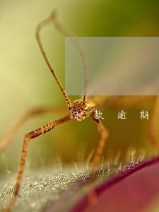 贷款逾期银行多久会收滞纳金 贷款逾期银行多久会收滞纳金
