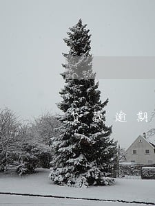 贷款逾期银行如何报送 贷款逾期银行如何报送
