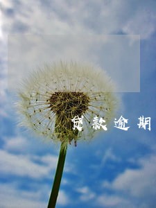 贷款逾期银行怎么拉进黑名单 贷款逾期银行怎么拉进黑名单