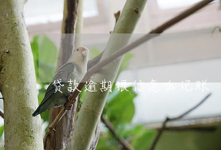贷款逾期银行怎么记账 贷款逾期银行怎么记账