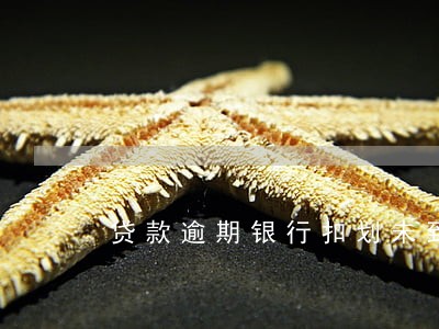 贷款逾期银行扣划未到期定期 贷款逾期银行扣划未到期定期