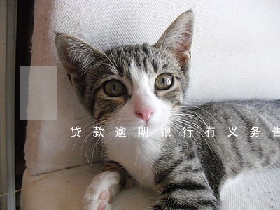 贷款逾期银行有义务告知吗