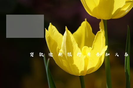 贷款逾期银行有告知义务 贷款逾期银行有告知义务