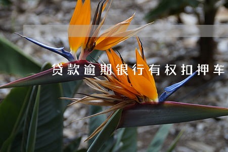 贷款逾期银行有权扣押车辆嘛 贷款逾期银行有权扣押车辆嘛
