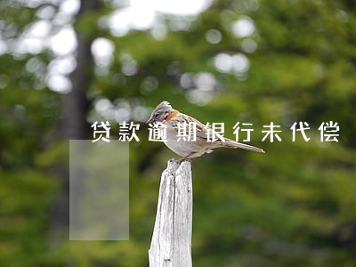 贷款逾期银行未代偿 贷款逾期银行未代偿