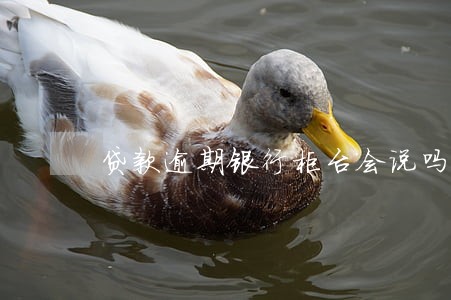 贷款逾期银行柜台会说吗 贷款逾期银行柜台会说吗