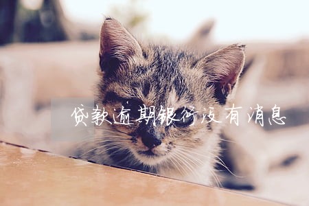 贷款逾期银行没有消息 贷款逾期银行没有消息