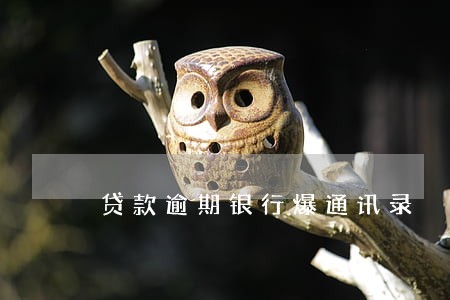 贷款逾期银行爆通讯录 贷款逾期银行爆通讯录