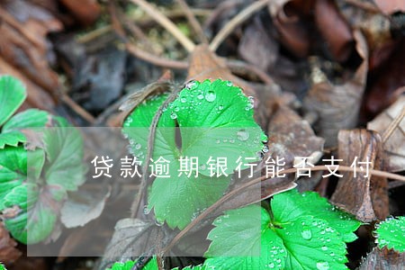 贷款逾期银行能否支付 贷款逾期银行能否支付