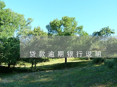 贷款逾期银行说明 贷款逾期银行说明