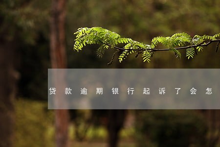 贷款逾期银行起诉了会怎样 贷款逾期银行起诉了会怎样