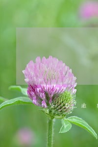 贷款逾期银行起诉会坐牢 贷款逾期银行起诉会坐牢