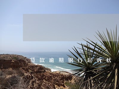 贷款逾期银行起诉状 贷款逾期银行起诉状