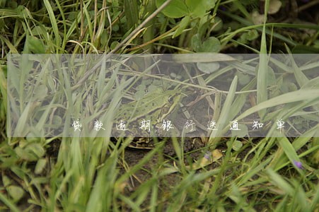 贷款逾期银行送通知单 贷款逾期银行送通知单