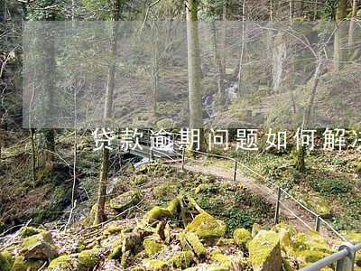贷款逾期问题如何解决 贷款逾期问题如何解决