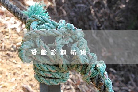 贷款逾期阶段 贷款逾期阶段