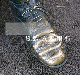 贷款逾期限行 贷款逾期限行