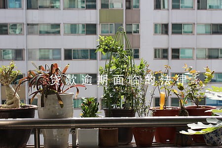 贷款逾期面临的法律 贷款逾期面临的法律