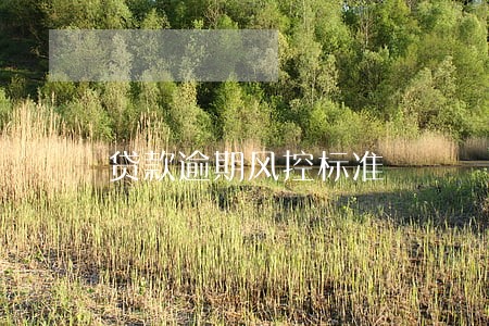 贷款逾期风控标准 贷款逾期风控标准