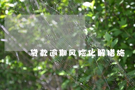 贷款逾期风险化解措施 贷款逾期风险化解措施