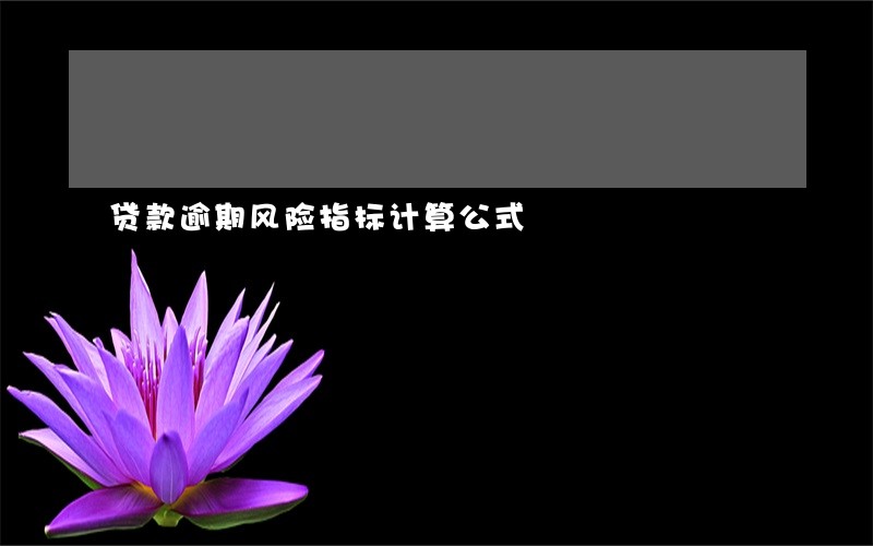 贷款逾期风险指标计算公式 贷款逾期风险指标计算公式