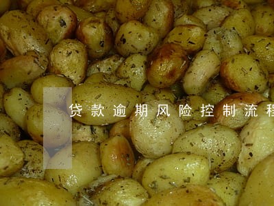 贷款逾期风险控制流程 贷款逾期风险控制流程