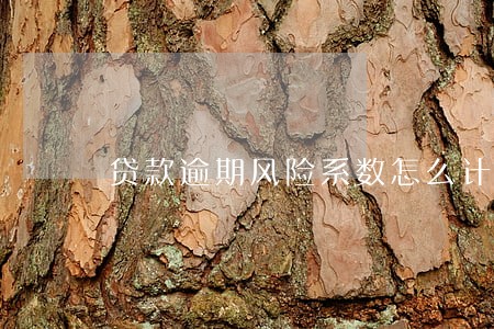 贷款逾期风险系数怎么计算 贷款逾期风险系数怎么计算