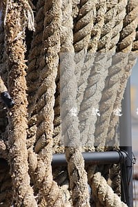 贷款逾期骚扰家人和朋友 贷款逾期骚扰家人和朋友