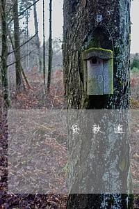 贷款逾期高清视频 贷款逾期高清视频