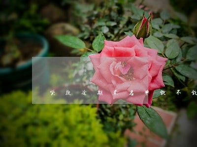 贷款逾期黑名单能不能去香港 贷款逾期黑名单能不能去香港